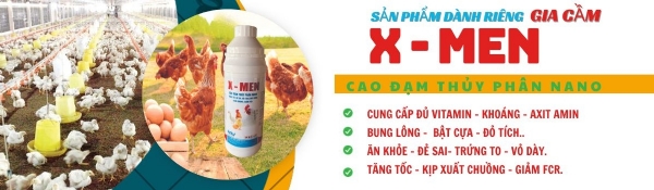 can-dien-tu-camry-sieu-mong-hoa-tiet-hoa-van-eb-9301-s109
